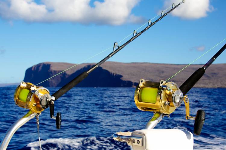 Two fishing poles on a boat